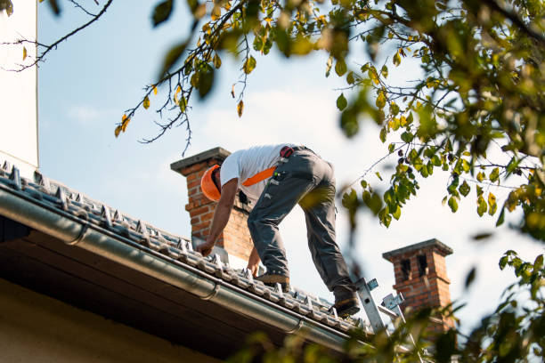Best Slate Roofing  in Marlette, MI