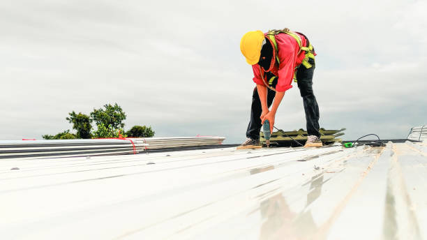 Best Roof Insulation Installation  in Marlette, MI