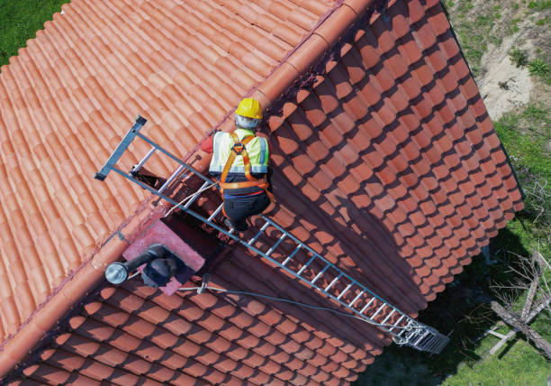 Best Asphalt Shingle Roofing  in Marlette, MI